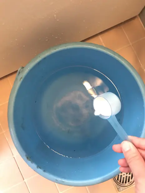 画像の説明文