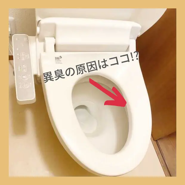 便器のふち裏