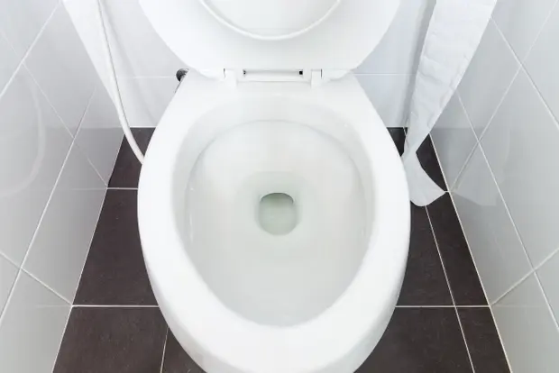 清潔な便器