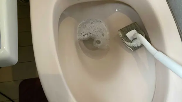 トイレをブラシでこする