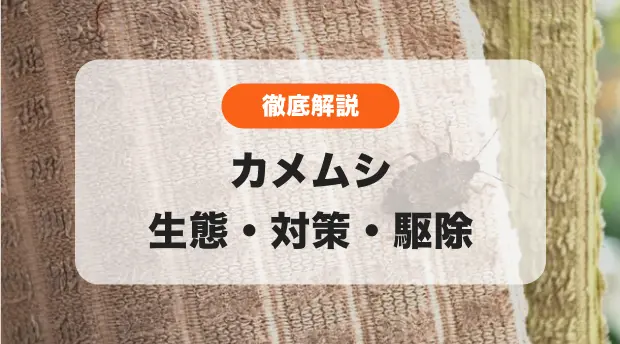 カメムシ対策のバナー