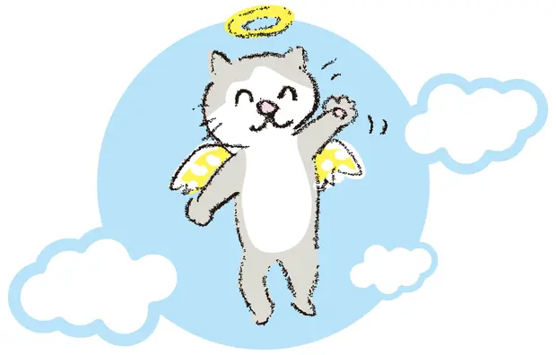 天国に行ったペットの猫