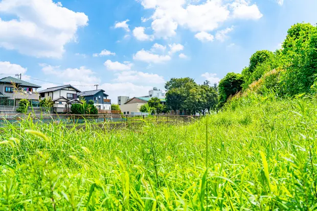 雑草と家
