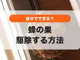 蜂の巣を今すぐ安全に駆除するには？自力と事業者依頼の境界線、料金相場を解説