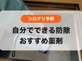 シロアリ予防｜自分でできる防除とおすすめ薬剤3選