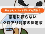 【赤ちゃん・ペットに安心】殺虫剤を使わないクロアリ対策！自分でできる駆除・予防の全手順