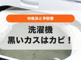 洗濯機から出る黒いカス（わかめ）はカビ！なくならない黒わかめの取り方
