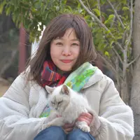 【お子様1人分の着付け、ヘアメイク付】着物レンタル無料。※時間延長になります