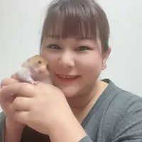 プロの技術でご満足いただけるように心を込めて作業いたします