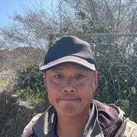 庭木・竹の伐採サービス