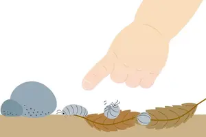 ダンゴムシの駆除は大量発生する前に｜植物の食害を防ぐ退治法【実物画像なし】