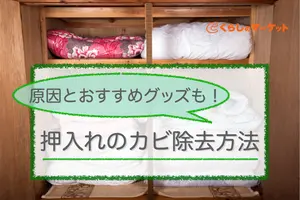 押入れのカビの除去方法｜カビの原因とおすすめ対策グッズも