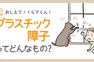 プラスチック障子紙について、教えて！