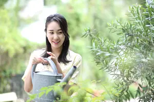 オリーブで垣根作りをする方法｜最適な株間やメンテナンス法も解説