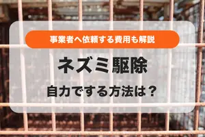 ネズミ駆除を自力でする方法は？事業者の費用相場は2万円〜