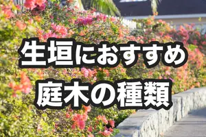 生垣におすすめの庭木の種類12選！手間のかからない庭木も紹介