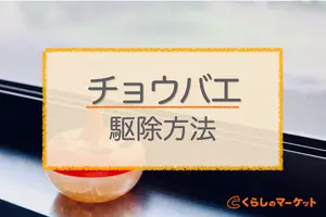 どこから発生する？チョウバエの幼虫の特徴と駆除方法を紹介
