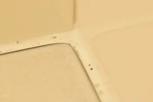 風呂場・洗面所・キッチン｜水回りゴムパッキン ＝コーキングを自分で交換する法