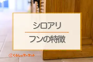 シロアリのフンはどんなもの？フンの特徴と対処方法を紹介