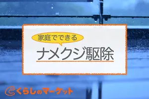 ナメクジ駆除｜家庭でできる簡単退治法やおすすめ駆除剤