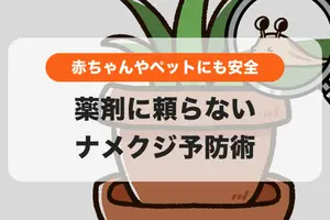 【薬剤を使わないナメクジ対策】子どもやペットがいても安心！庭や家庭菜園からナメクジを遠ざける方法