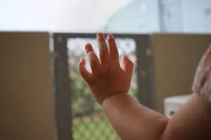 網戸にできた小さな穴は自分で補修できる！原因から補修方法まで解説