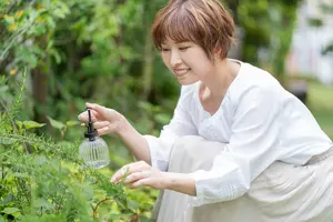 ローズマリーは生垣にできる？生垣向きの種類と植え方をご紹介