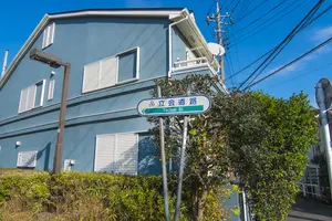 もう生垣周りの雑草に悩まない！効果的＆シーズン別の雑草対策を解説