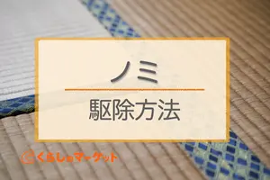 ノミ駆除と予防方法を解説！ハッカ油は有効？部屋のノミ退治がしたい