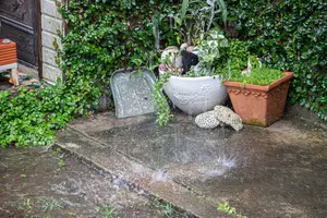除草剤は雨の日でもOK？撒くタイミングと使い方