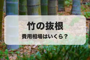 竹の抜根にかかる費用はどれくらい？費用にまつわるポイントを解説