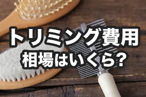 トリミング費用相場はいくら？犬と猫のサロンを上手に選ぶコツ