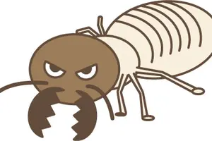 シロアリ駆除の費用相場を教えて！作業内容や事業者に依頼するメリットも説明