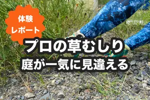 庭が見違えるほどキレイに！くらしのマーケットで草むしりを体験