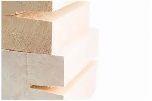 キクイムシ駆除の費用相場はいくら？作業内容やプロに依頼するメリットについて解説！