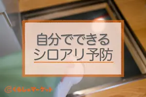 シロアリ予防｜自分でできる防除とおすすめ薬剤3選
