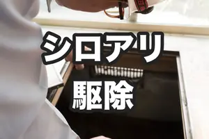 シロアリ駆除｜自分で行う方法や事業者の費用相場