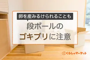 ダンボールに潜む「ゴキブリの卵」ゴキブリが好む理由と対策とは
