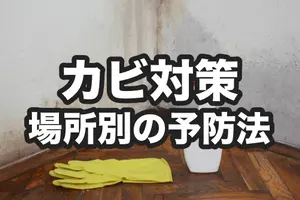 カビ対策は1年中必要って知ってた？部屋の場所で異なるカビ予防法