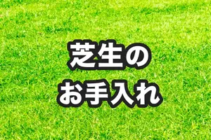芝生のお手入れ｜芝の種類と管理の年間スケジュール