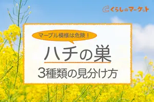 蜂の巣の種類と見分け方｜巣の形や色で危険度がわかる