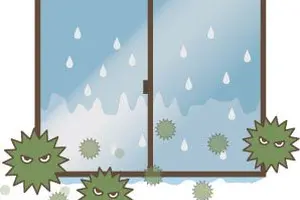 窓にカビが生えてしまった！どうしたらいいの？