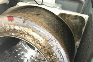 洗濯機クリーニングをプロに頼むとどうなる？Before Afterを公開！