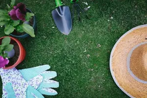 芝生のお手入れ方法を教えて！