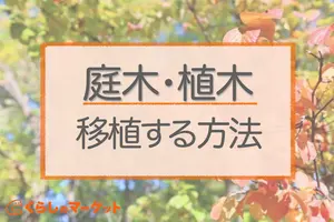 庭木・植木を自分で移植する方法｜正しい植え替えのポイント