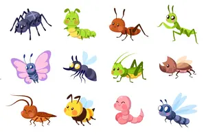 ベランダに虫がわいた・死骸がある！今すぐできる掃除法と予防方法