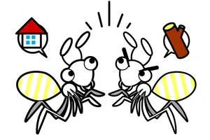 シロアリの被害はどうやって見抜く？シロアリ被害を見つけるコツとは