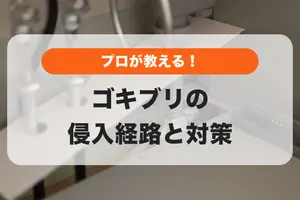 ゴキブリの侵入経路はどこ？プロが教えるゴキブリ対策と駆除グッズ