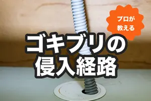 ゴキブリの侵入経路はどこ？プロが教えるゴキブリ対策と駆除グッズ