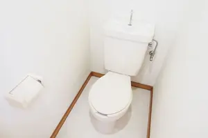 温水洗浄便座（ウォシュレット）から普通便座に交換したい！自分でできる？